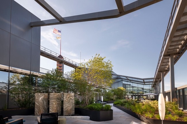 Photo - Luminary at One Light