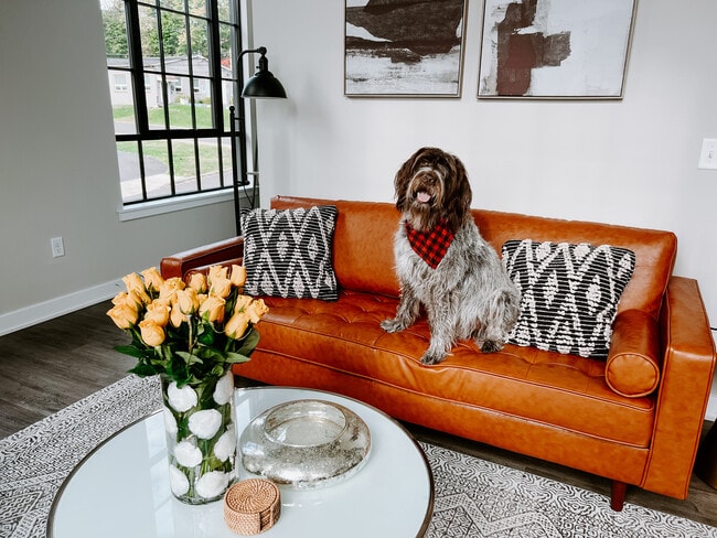 The Delbar is Pet Friendly!
