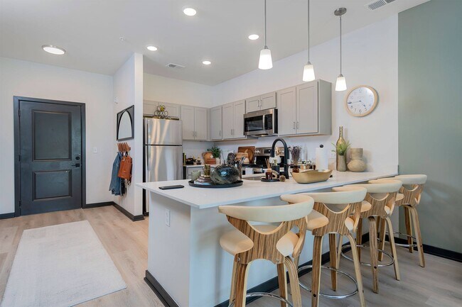 1BR, 1BA - 741SF - Kitchen and Entry - The Flats of River Ridge