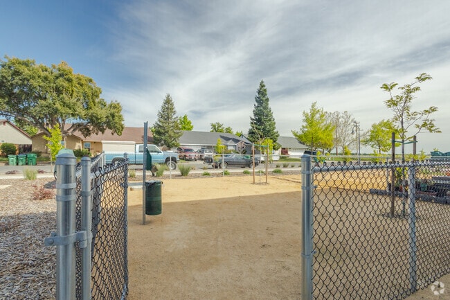 Dog Park