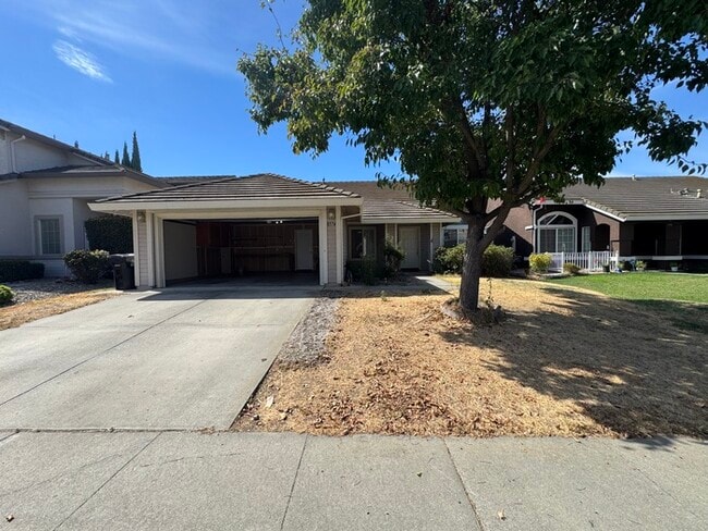 Beautiful 4/2 home in Elk Grove-8575 Dianthus Way