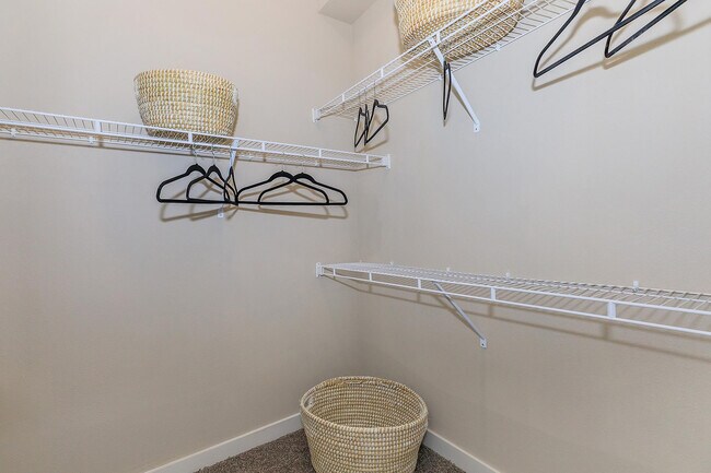 Vantage at McKinney Falls A1 Closet