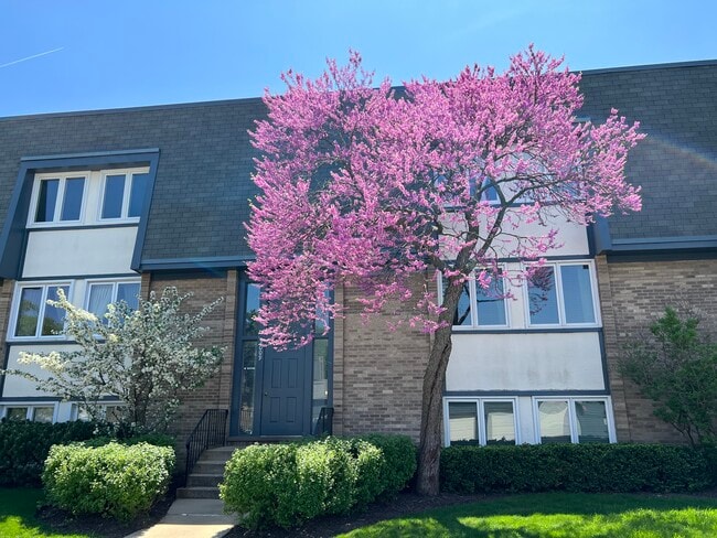 Photo - 2009 Ammer Ridge Ct Unit 202