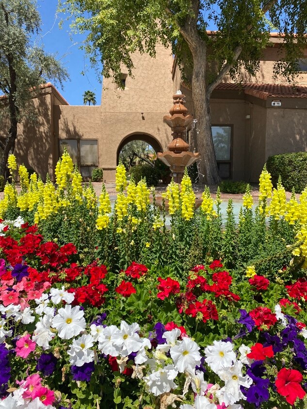 Photo - 8256 E Arabian Trl (Scottsdale, AZ)