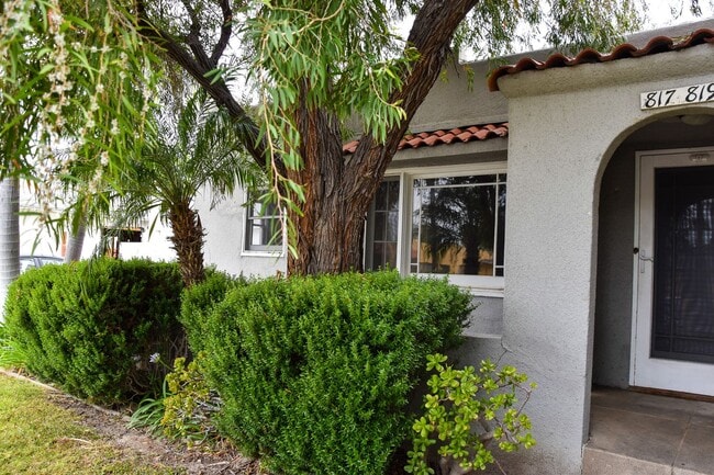 Building Photo - Palm (817-819) Unit Palm (817) - West