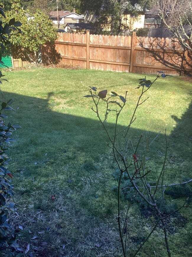 Photo - 2011 SE Laurel St