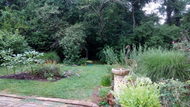 back yard - 2144 East Dr