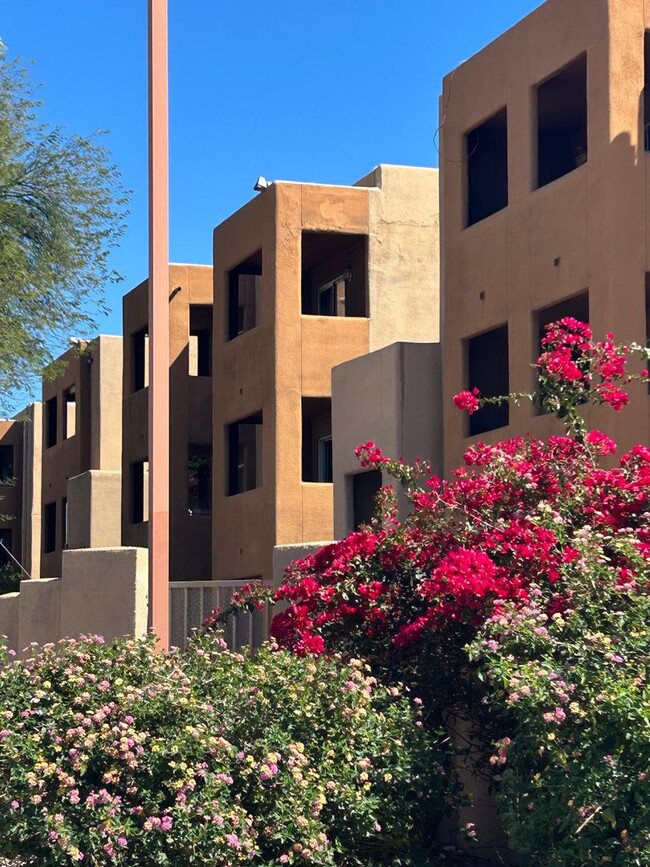 1810 E Blacklidge Dr Unit 204