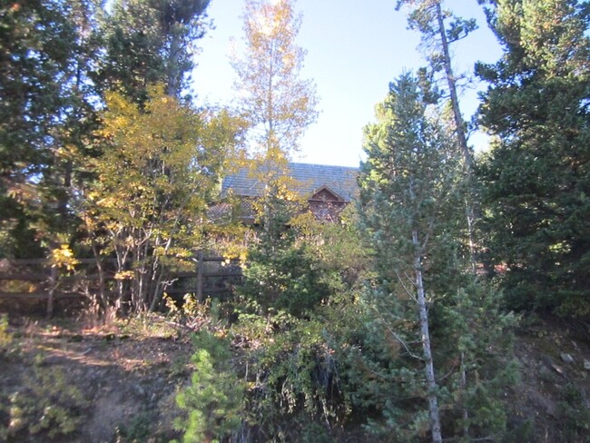 A-Frame Nederland Mountain Home W/ Awesome... - A-Frame Nederland Mountain Home W/ Awesome...
