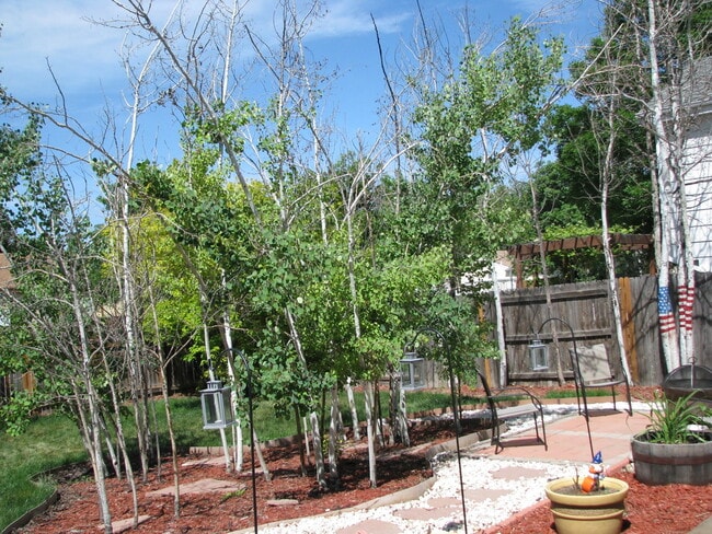 Photo - Stunning 3 Bedroom/ 3 Bath Home With Large Backyard!