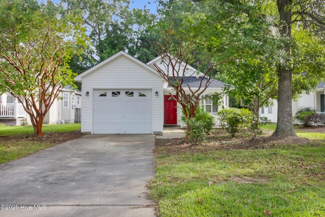 Building Photo - 205 Buckskin Dr Rental