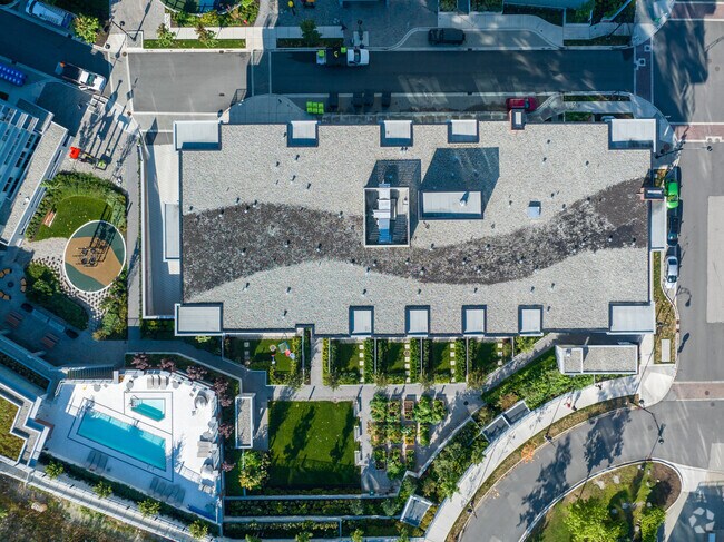 Aerial - Suter Brook