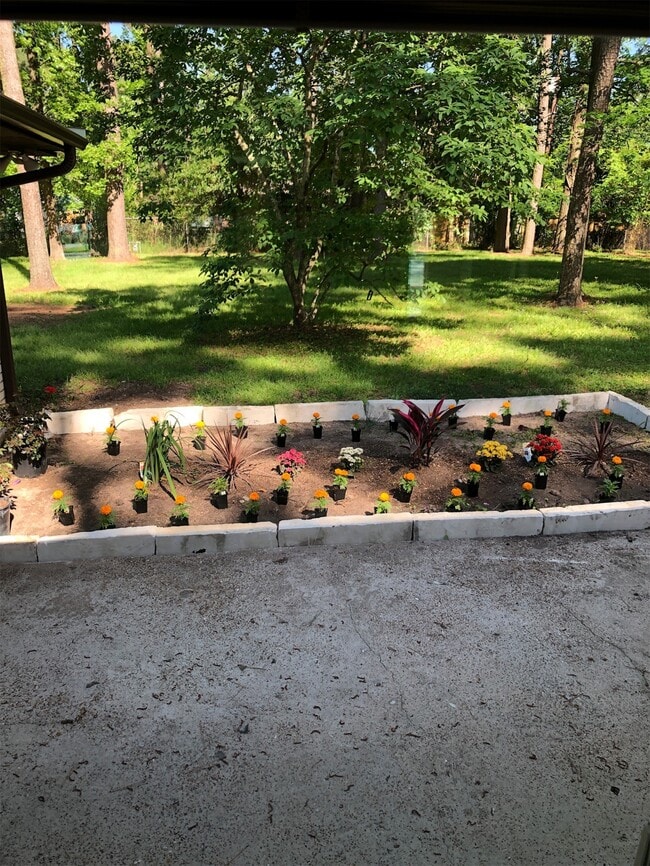 Building Photo - 25610 Spring Ridge Dr