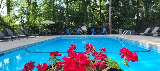 Relaxing Swimming Pool