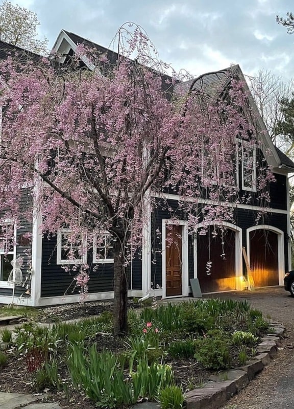 Building Photo - 195 N Prospect St Unit B