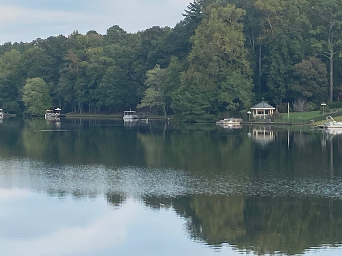 Photo - 2235 Castle Lake Dr