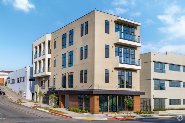 Asano on Ivy - Asano on Ivy