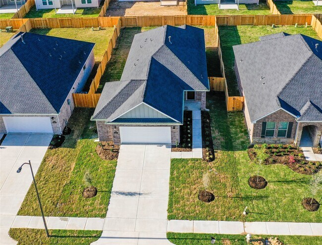 Photo - 31319 Black Frst Xing