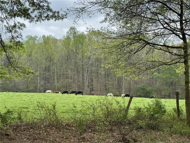 Photo - 1727 Oak Grove Church Rd