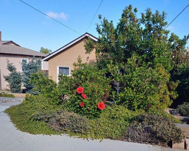 Photo - 1540 Wollacott St