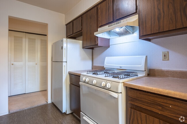 2BR, 1.5BA - 1,100SF - Kitchen