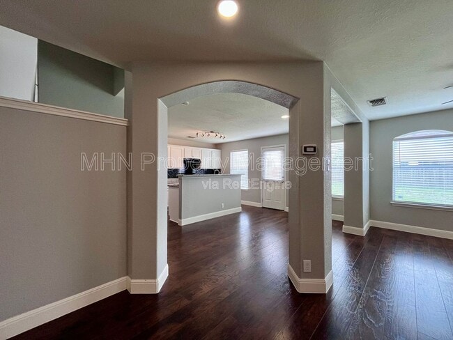 Photo - 8734 Snow Goose