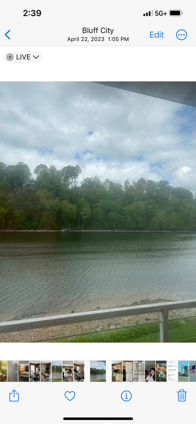 Photo - 4508 Bluff City Hwy Unit Apt 1