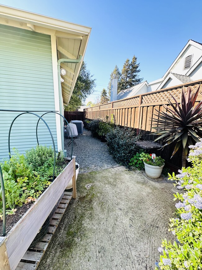 Back yard - 504 Montgomery St