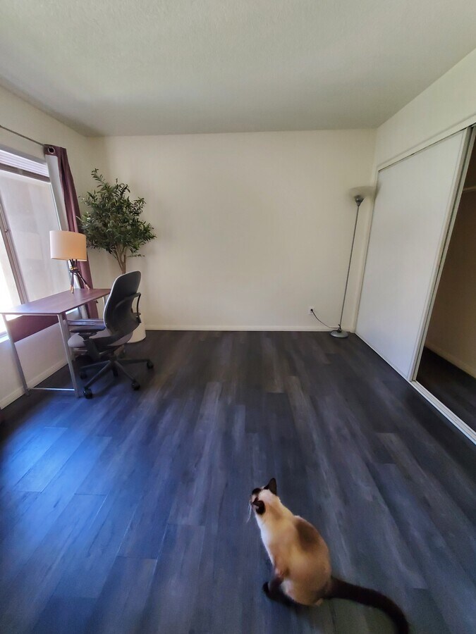 28382 Pueblo Dr Condo Unit Pueblo Condo for Rent in Trabuco Canyon