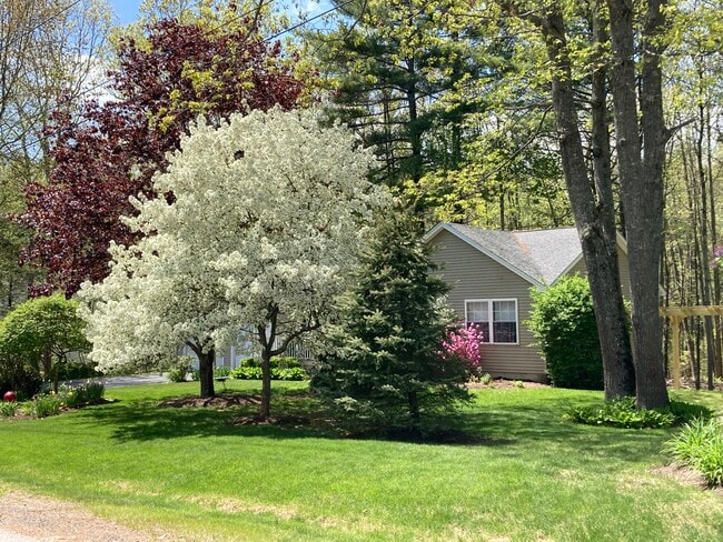 Photo - 10 Village Green Dr Unit 1