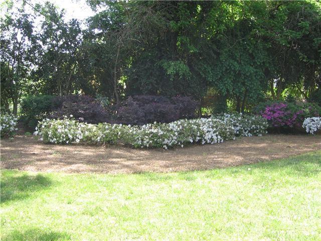 Photo - 516 Faith St