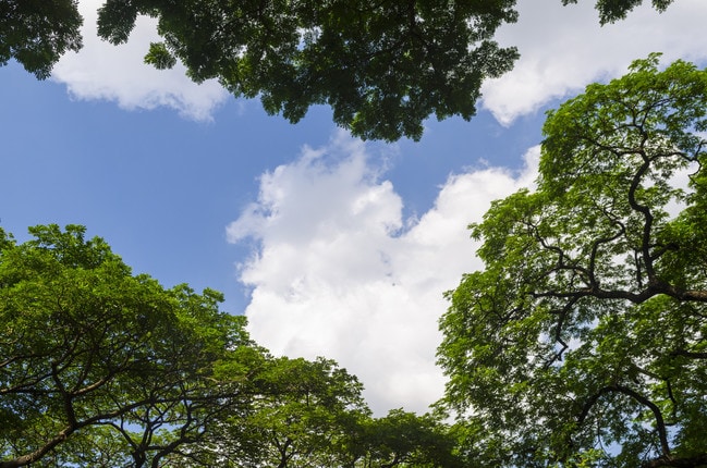 Photo - Allen Pointe Apartments