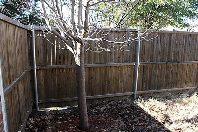 Photo - 6325 Cedar Falls Dr