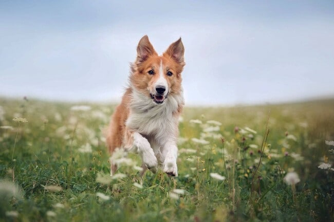 Photo - The Apartments at Plymouth Walk