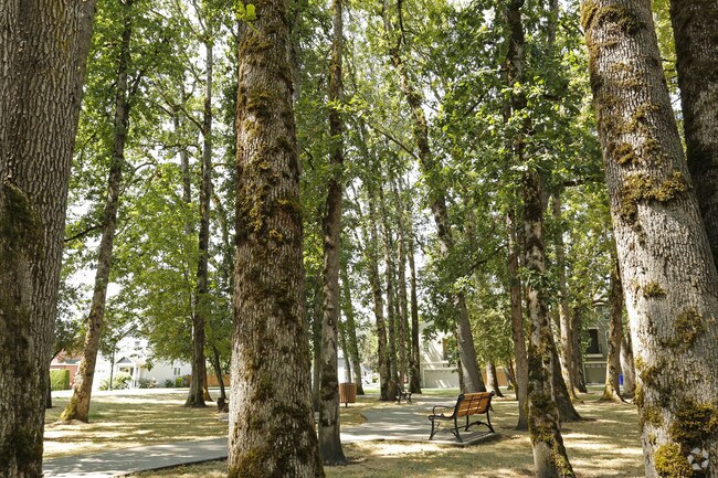 Photo - The Avery at Orenco Station