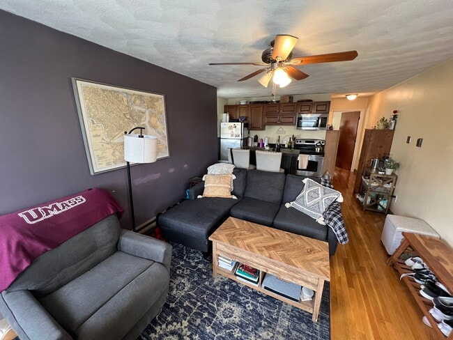 Photo - 217 Holland St