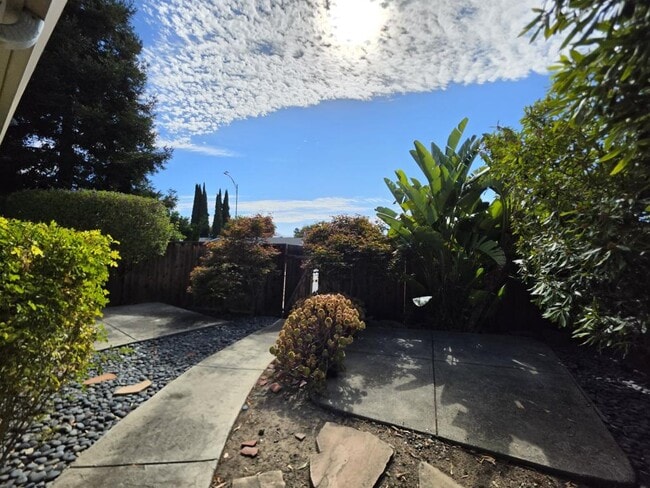 Photo - 2455 Fallingtree Dr