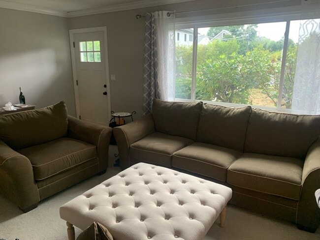 Photo - 231 Spiers Rd