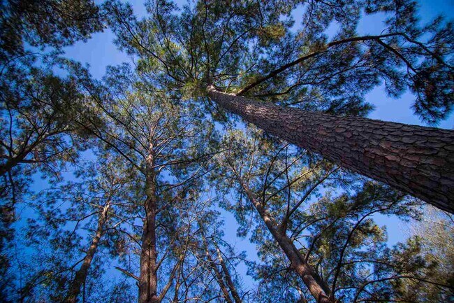 Photo - 329 Mabry St House