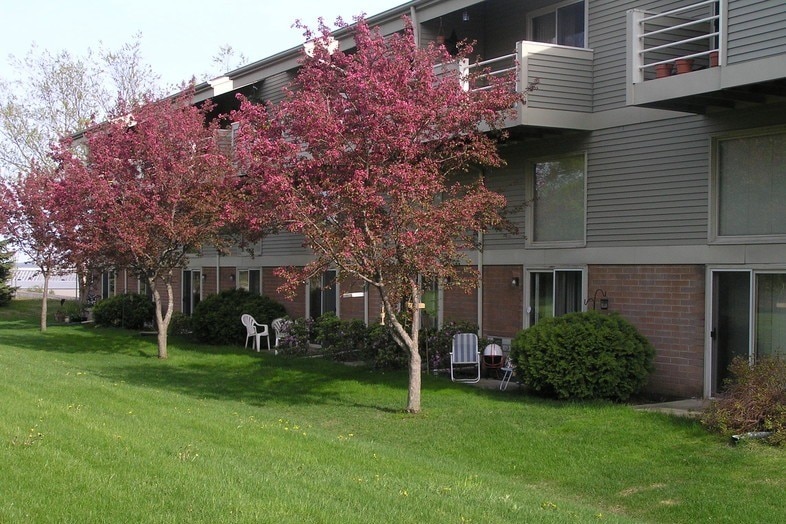 Exterior Backyard