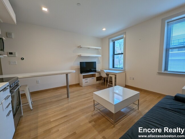 Photo - 115 Mt Auburn St Unidad 33
