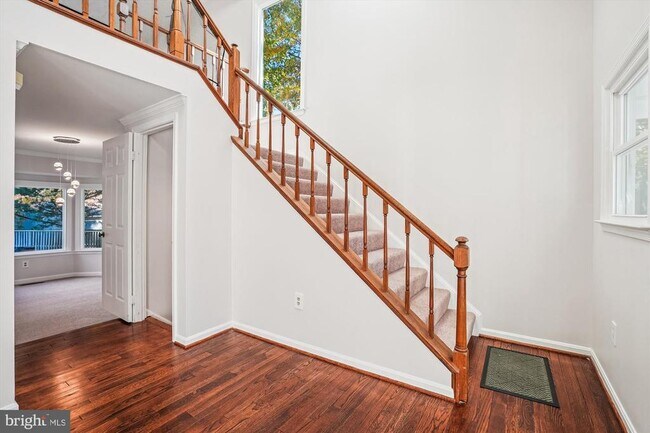 Photo - 8803 Black Alder Dr