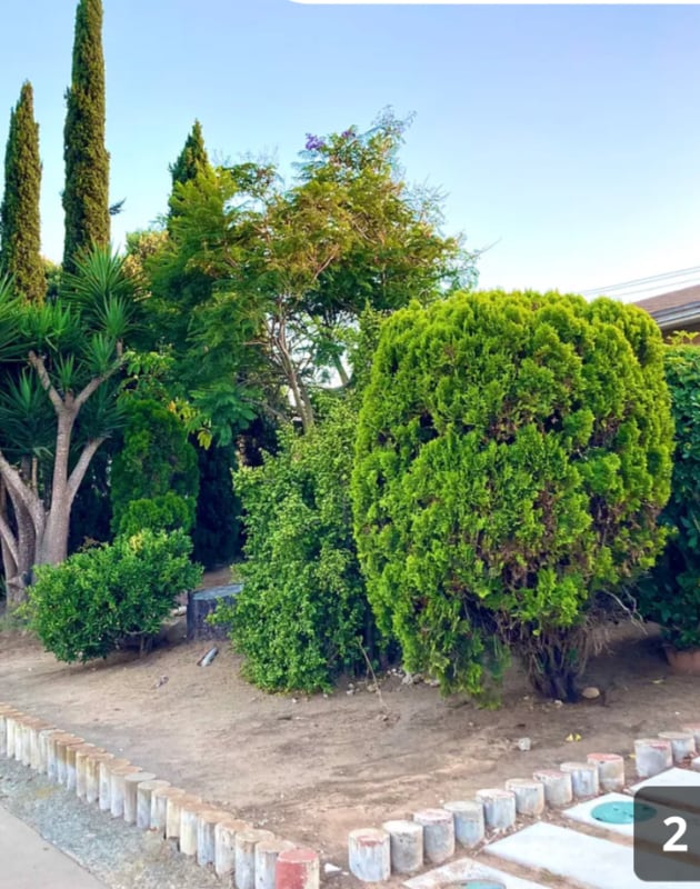Building Photo - 4640 Clairemont Dr Rental