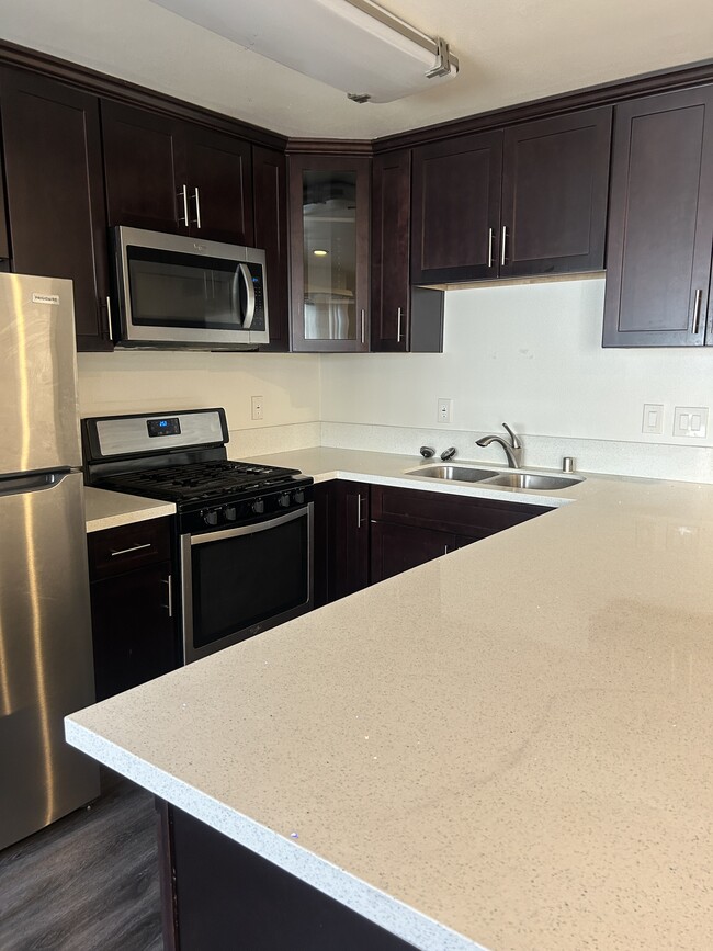 Upgraded Gourmet kitchen with stainless steel appliances and quartz countertops - 278 E Washington Blvd Apartments Unit 8