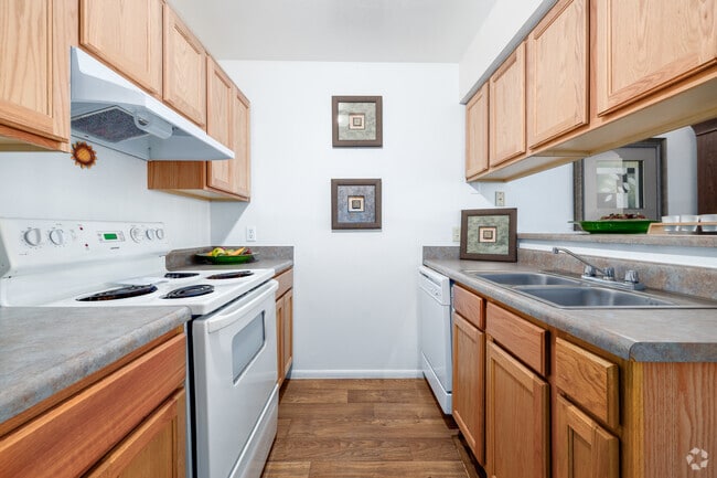 1BR, 1BA - 490SF - Kitchen - Santa Cruz