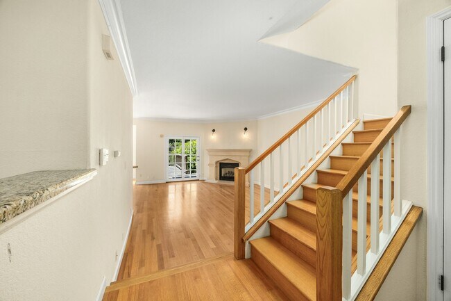 Photo - 95B Frederick St