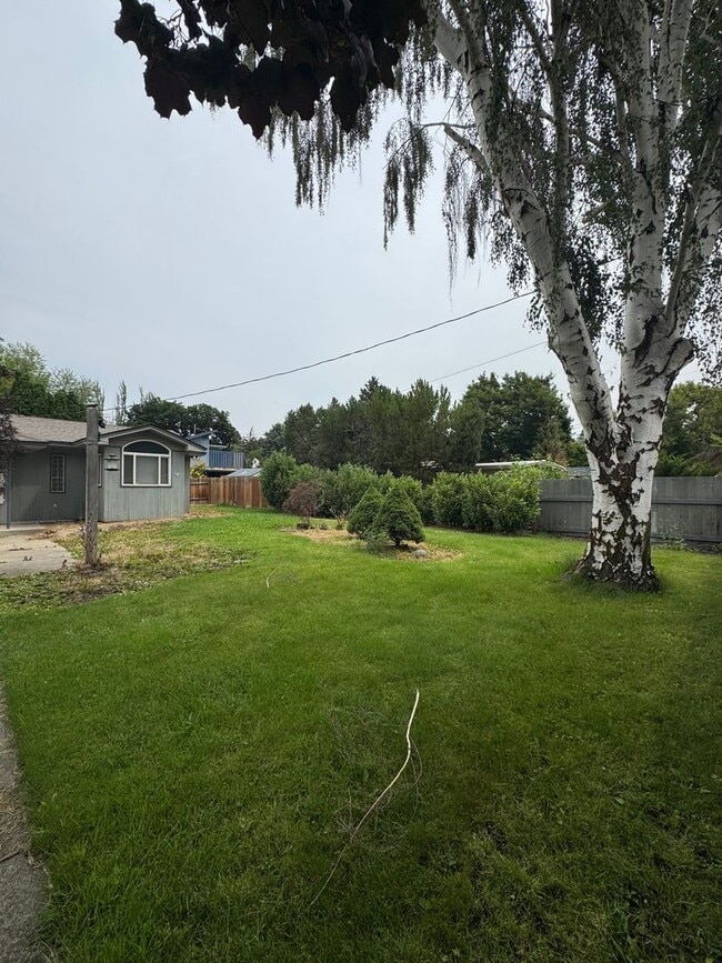 Photo - 1001 N Brooklane St