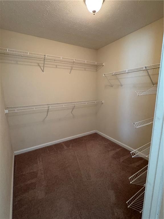 Photo - 4758 Chafin Point Ct