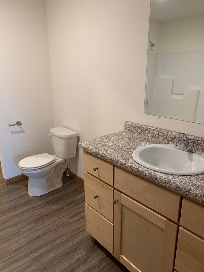 HP1/HP2 Bathroom Vanity