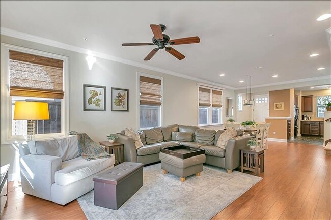 Living Room - 1504 Pear Tree Ln
